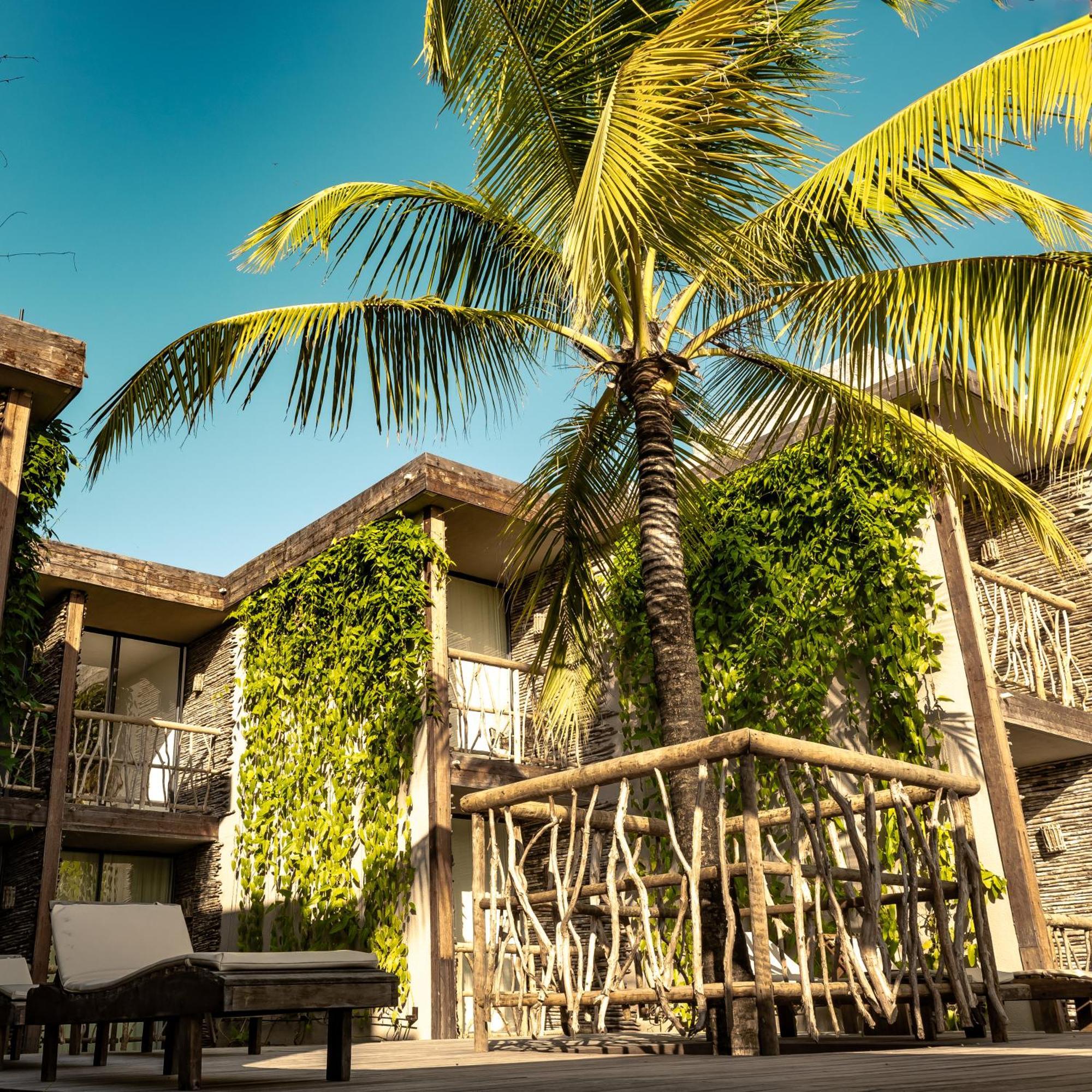 Apenunga Eco Hotel Жижока-ді-Жерікуакуара Екстер'єр фото
